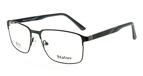 Status оправа 4204 с3 - фото 27291