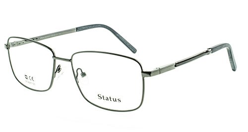 Status оправа 4201 с3 - фото 27309