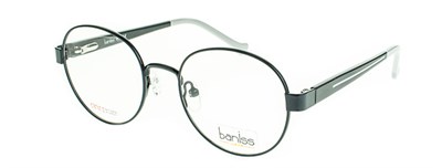Baniss 4011 с02 мет.