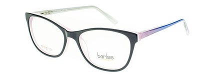 Baniss 5108 с02 пл