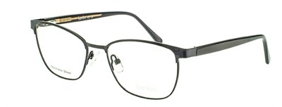 Baniss 5046 с03 мет