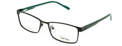 Baniss 3092 с01 мет