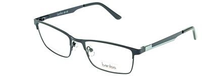 Baniss 3093 с03 мет