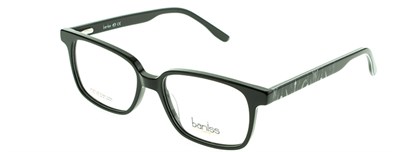 Baniss 6067 с01 пл