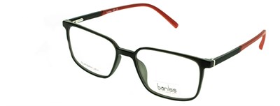 Baniss 6069 с01 пл