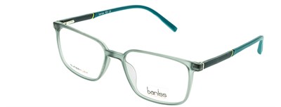 Baniss 6069 с03 пл