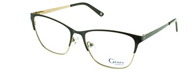 Genex 1013 с 002