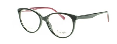 Baniss 5118 с01 пл