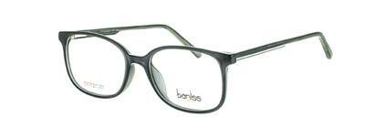 Baniss 6066 с02 пл