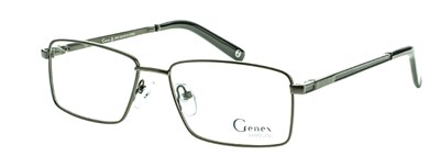 Genex 1004 с019