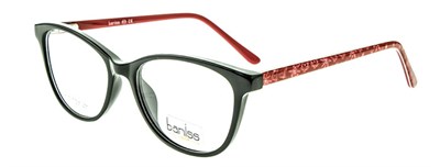 Baniss 5103 с01 пл