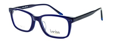 Baniss 6070 с03 пл