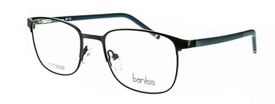Baniss 6042 с01 мет+фут