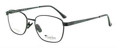 Baniss 4027 с02 мет
