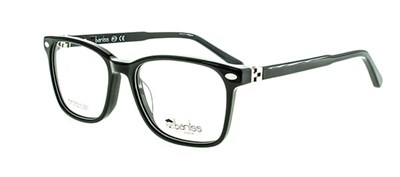 Baniss 6837 с01 пл