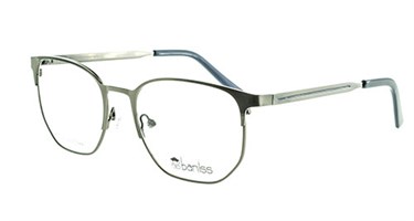 Baniss 7029 с03 мет+фут