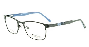 Baniss 3101 с01 мет