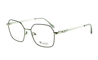 Baniss 7028 с02 мет+фут