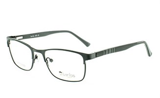 Baniss 3101 с03 мет