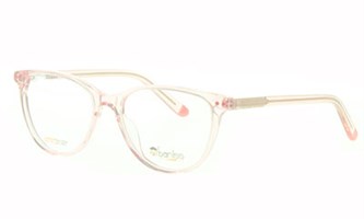 Baniss 5009 с2  пл+фут