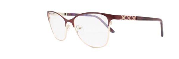 Forvizion 2118 c12 - фото 17460