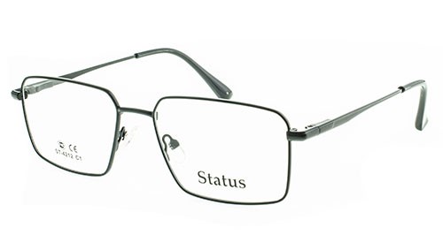 Status оправа 4212 с1 - фото 27238