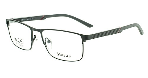 Status оправа 4198 с2 - фото 27289