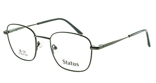 Status оправа 4210 с3 - фото 27290