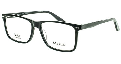 Status оправа 4205 с3 - фото 27292