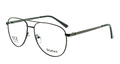 Status оправа 4226 с2 - фото 27293