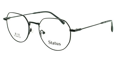 Status оправа 4254 с1 - фото 27295