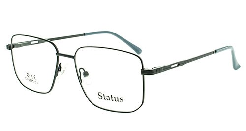 Status оправа 4255 с1 - фото 27296