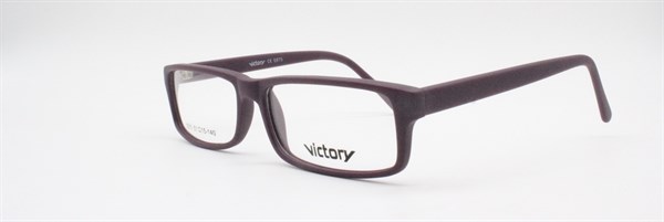 Victory 1011 с875 - фото 8490