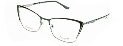 Santarelli 2007 с6