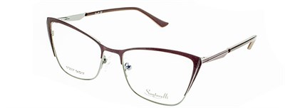 Santarelli 2007  с12