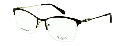 Santarelli 1999 C4 мет