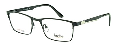 Baniss 3093 с02 мет