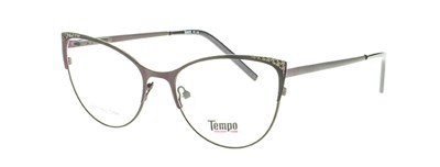 Tempo 2454 с3