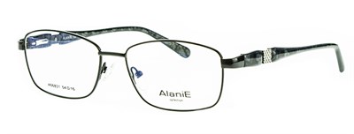 AlaniE оправа 66831 с6 мет