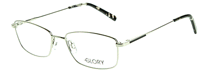 Glory 673 gun