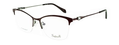 Santarelli 1999 C12 мет