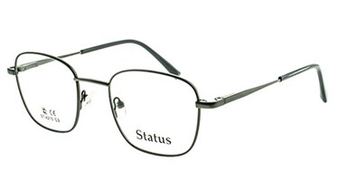 Status оправа 4210 с3