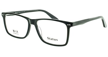 Status оправа 4205 с3