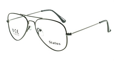 Status оправа 4223 с3