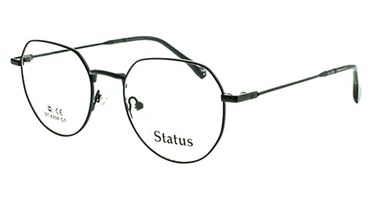 Status оправа 4254 с1