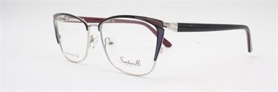 Santarelli NK8170 c6